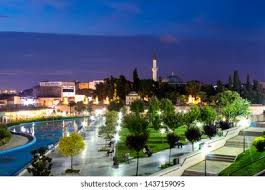 Gebze Çim Ekimi ve Bakımı | Chakra Peyzaj