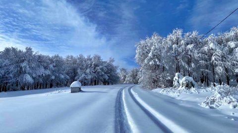 Kartepe Peyzaj ve Çim Serimi | Chakra Peyzaj