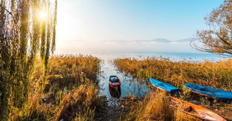 Sapanca Peyzaj ve Hobi Bahçesi | Chakra Peyzaj