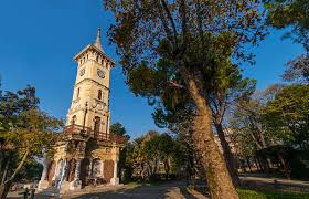 İzmit Peyzaj ve Bahçe Düzenleme | Chakra Peyzaj
