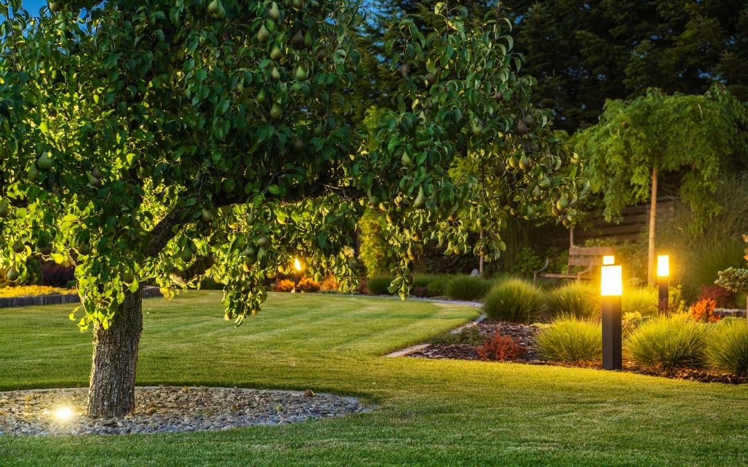 Aydınlatma Sistemleri Kurulumu →