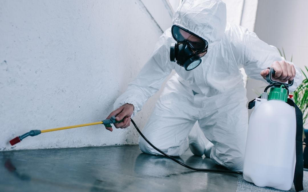 Haşere İlaçlama →