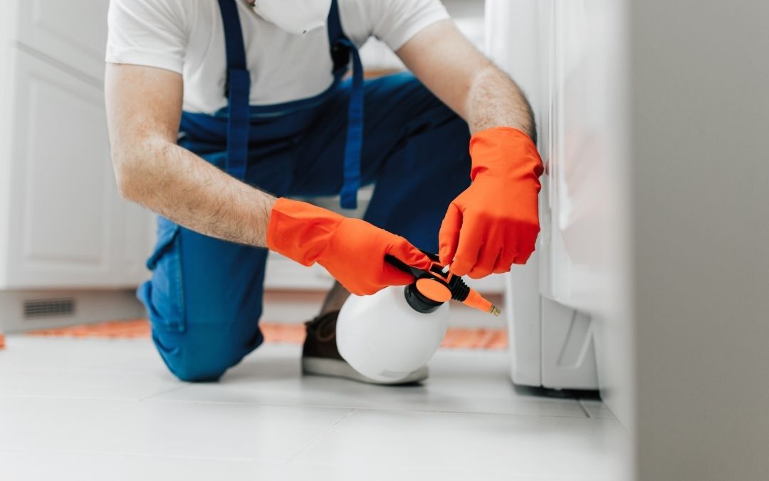 Kemirgen İlaçlama →